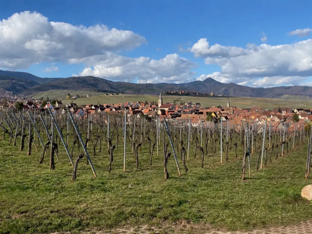 Vignobles avec village en arrière-plan - SIAEPABE