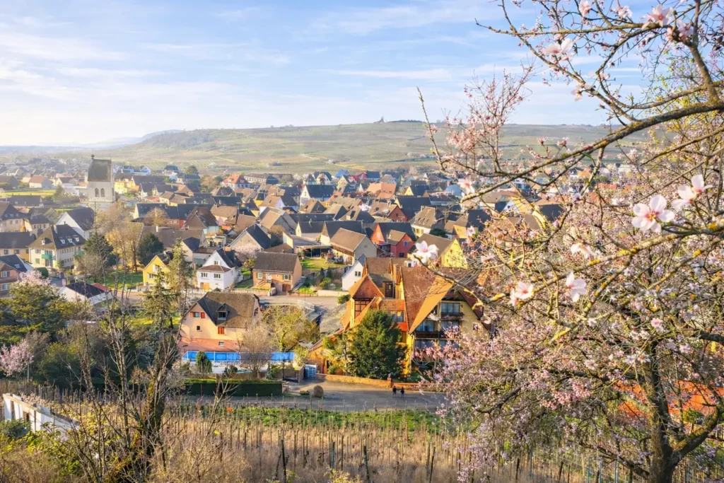 Village- Bebelenheim - SIAEPABE