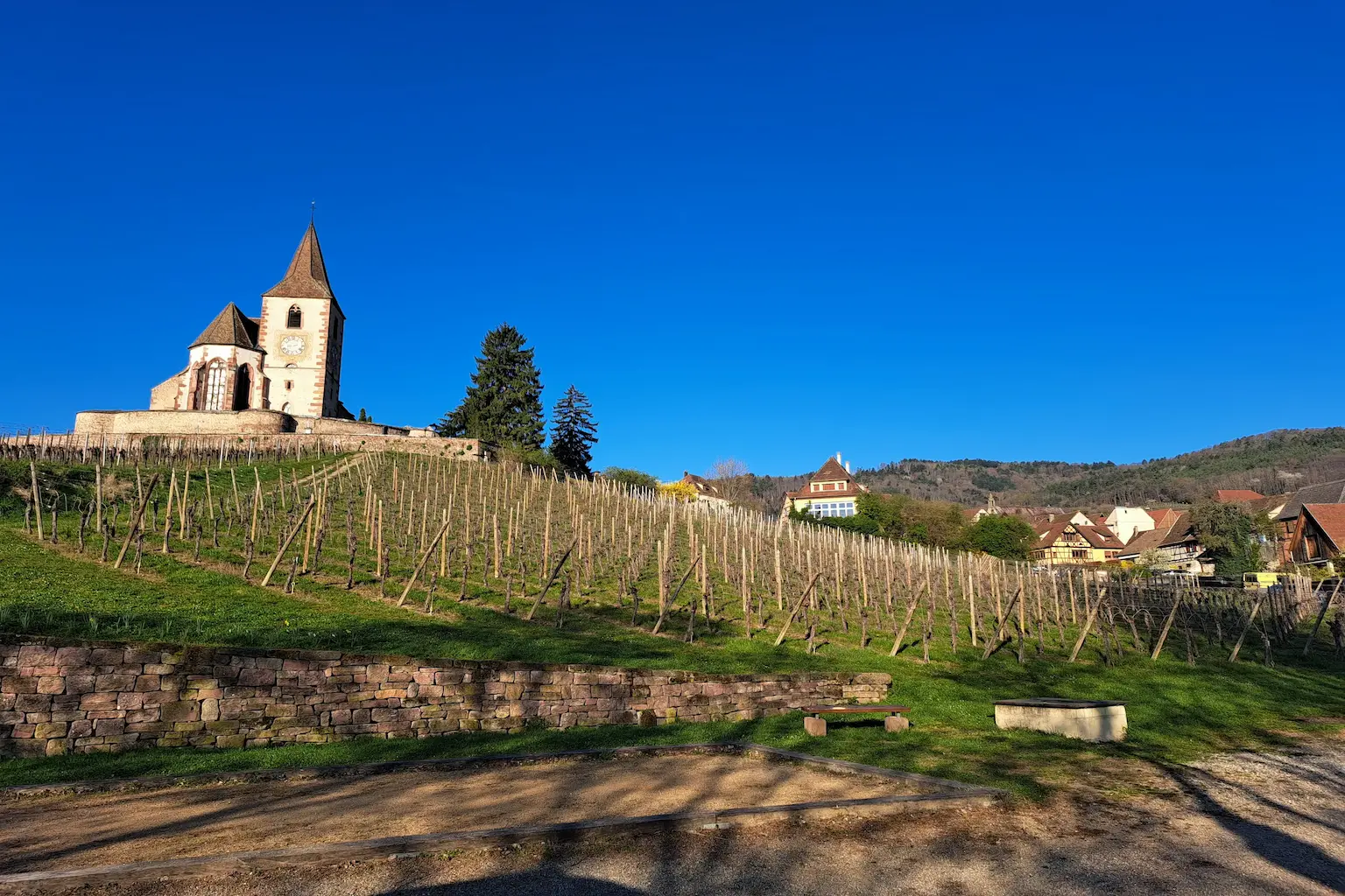 Église au milieu des vignes - SIAEPABE